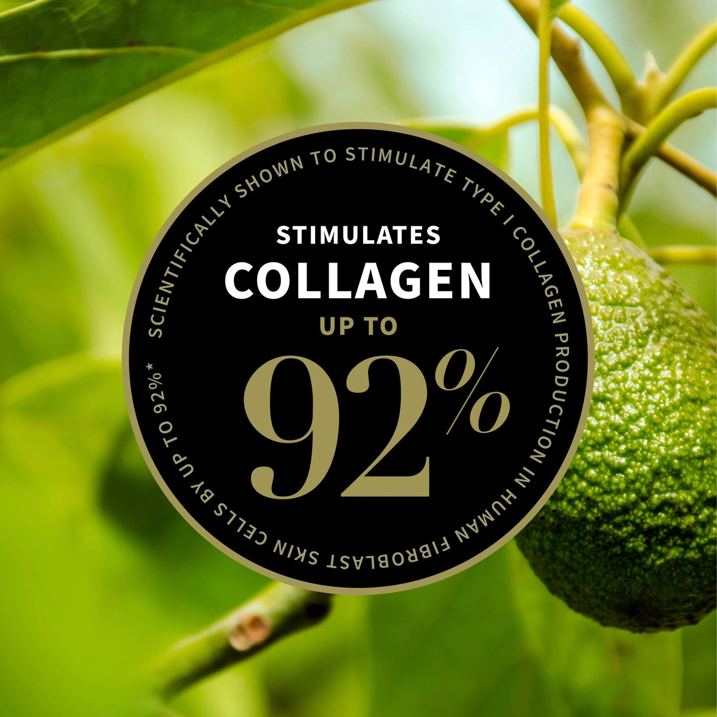 Avocado Pear Collagen-Boosting Night Cream 60ml