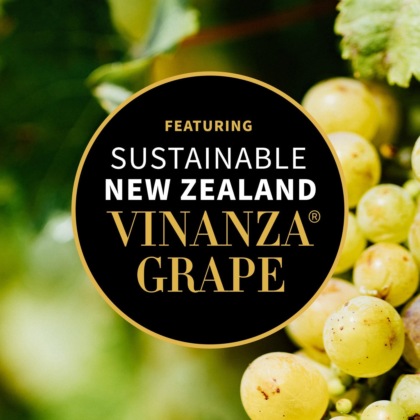 Grapeseed Butter Cleanser 75g - Antipodes Australia